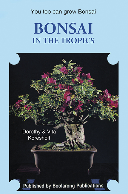 Bonsai in the Tropics