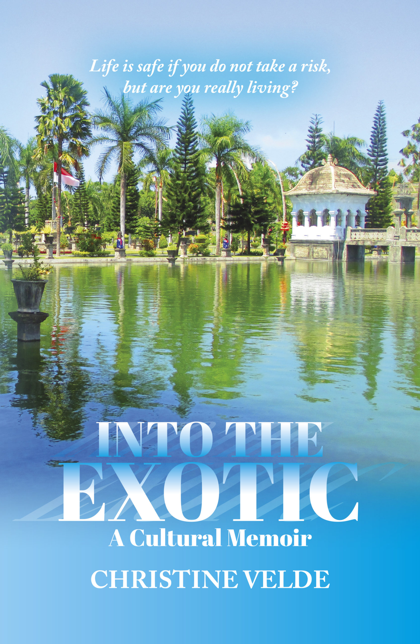 Into the Exotic - A Cultural Memoir